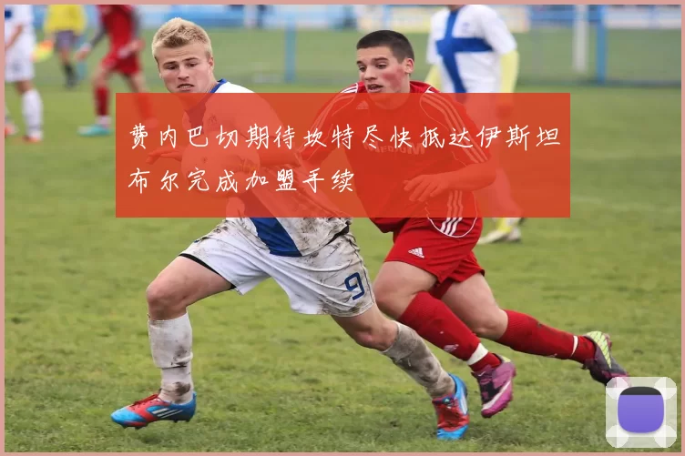 费内巴切期待坎特尽快抵达伊斯坦布尔完成加盟手续