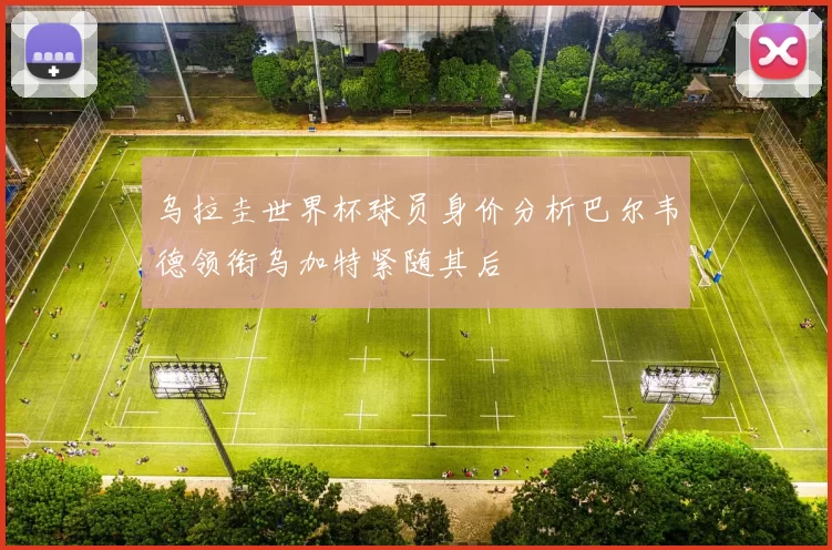 乌拉圭世界杯球员身价分析巴尔韦德领衔乌加特紧随其后